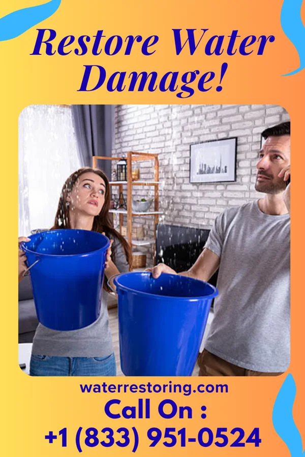 water restoration National Disaster Cleanup Professionals Wilson