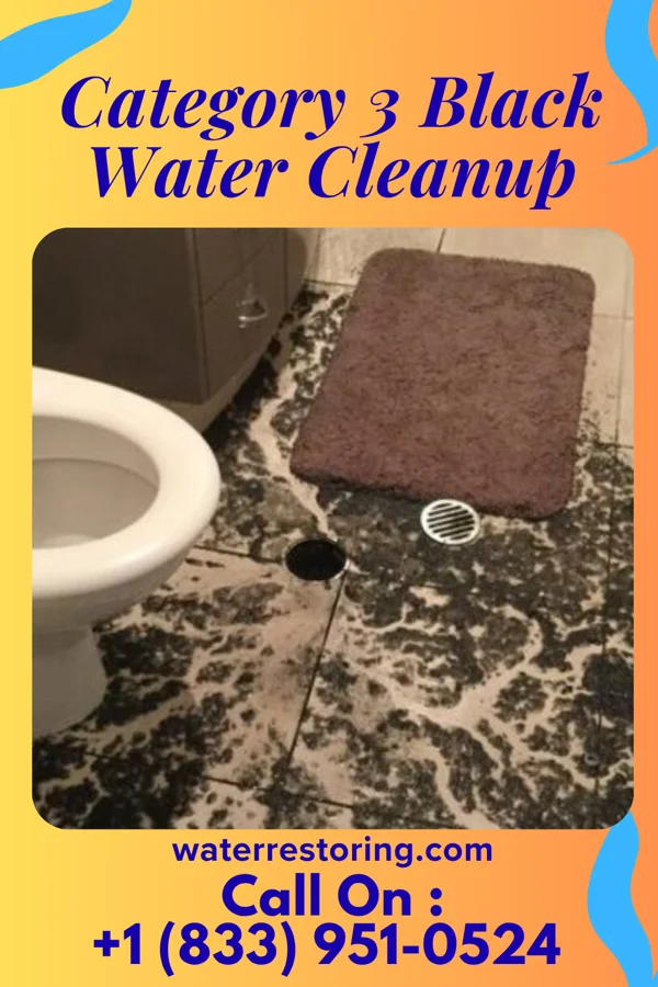 Category 3 Black Water Cleanup in Wilson, NC