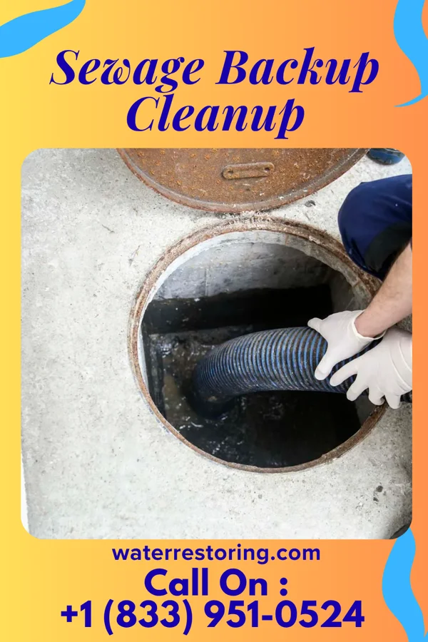 Sewage Backup Cleanup in Wilson, NC
